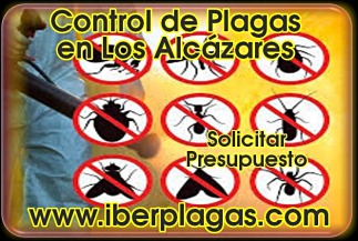 Control de plagas en Los Alcázares