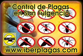 Control de plagas en San Fulgencio