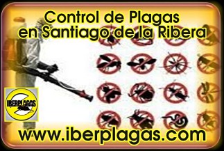 control de plagas en Santiago de la Ribera