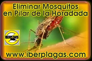 Eliminar Mosquitos en Pilar de la Horadada
