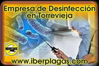 Empresa de desinfección en Torrevieja