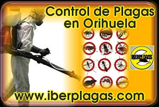 Control de plagas en Orihuela