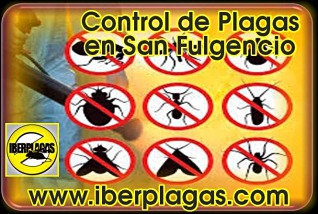 Control de Plagas en San Fulgencio