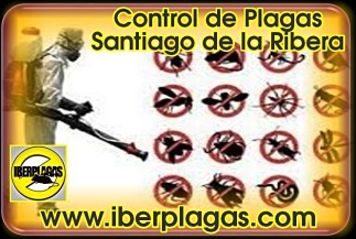 Control de plagas en Santiago de la Ribera