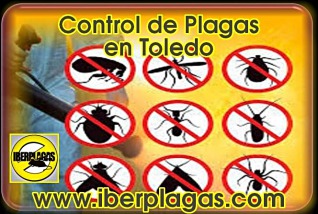 Control de Plagas en Toledo