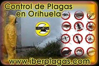 Control de plagas en Orihuela