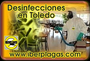 Desinfecciones en Toledo