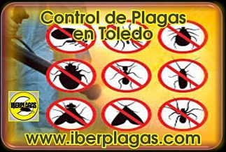 Control de plagas en Toledo