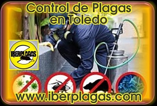 Control de plagas en Toledo
