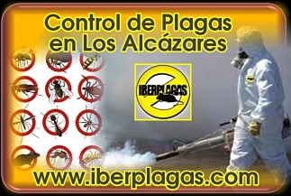 Control de Plagas en Los Alcázares