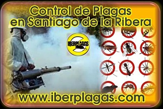 Control de plagas en Santiago de la Ribera