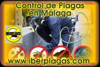 Control de Plagas en Málaga