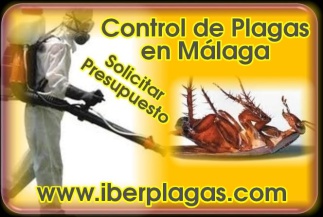 Control de plagas en Málaga