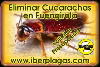 Eliminar Cucarachas en Fuengirola