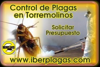 Control de Plagas en Torremolinos