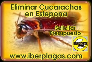 Eliminar Cucarachas en Estepona