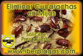 Eliminar cucarachas en Mijas