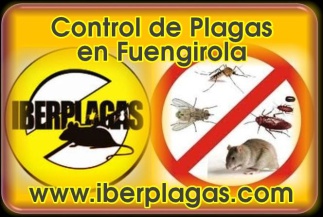 Control de plagas en Fuengirola
