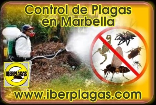Control de plagas en Marbella