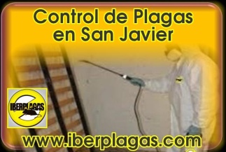 Control de plagas en San Javier