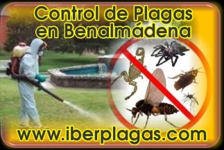 Control de Plagas en Benalmádena