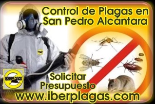 Control de plagas en San Pedro Alcántara
