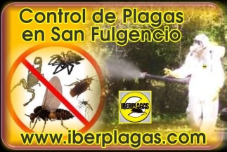 Control de plagas en San Fulgencio