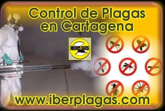 Control de plagas en Cartagena