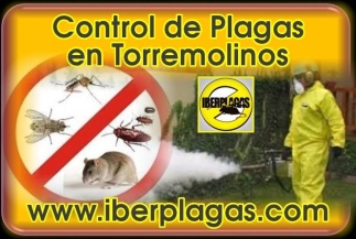 Control de plagas en Torremolinos
