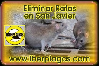 Eliminar ratas en San Javier