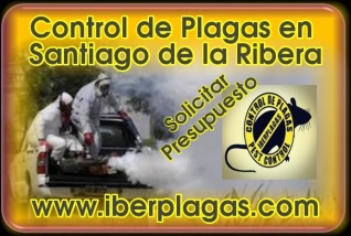 Presupuesto control de plagas en Santiago de la Ribera
