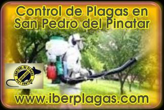 Control de plagas en San Pedro del Pinatar