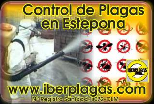 Control de plagas en Estepona