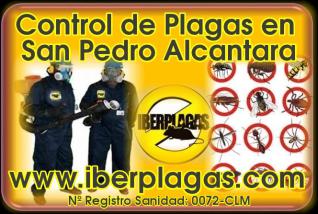 Control de Plagas en San Pedro Alcántara