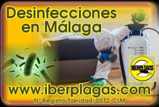Desinfecciones en Málaga