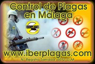 Control de Plagas en Málaga