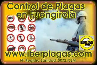 Control de Plagas en Fuengirola