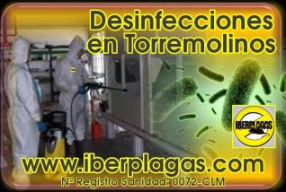 Desinfecciones en Torremolinos
