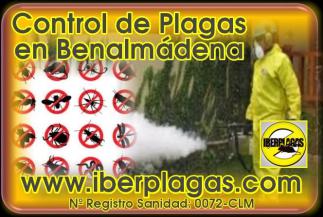 Control de Plagas en Benalmádena