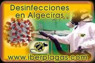 Desinfecciones en Algeciras