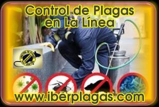 Control de Plagas en La Linea de la Concepción