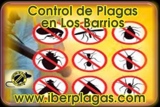 Control de Plagas en Los Barrios