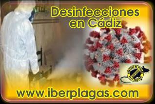 Desinfecciones en Cádiz