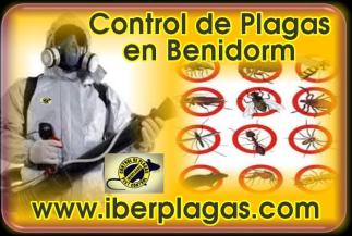 Control de Plagas en Benidorm