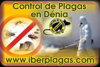 Control de Plagas en Dénia