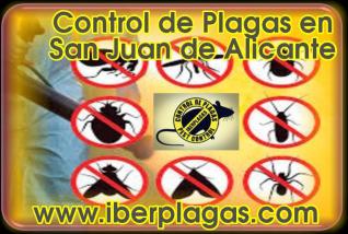 Control de Plagas en San Juan de Alicante