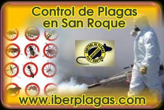 Control de Plagas en San Roque