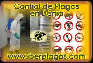Control de Plagas en Dénia