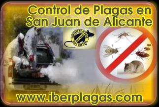 Control de Plagas en San Juan de Alicante