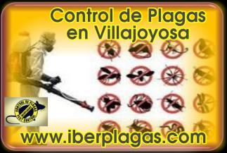 Control de Plagas en Villajoyosa